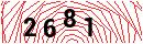Security Verification
