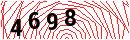 Security Verification