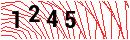 Security Verification