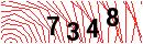 Security Verification