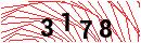 Security Verification