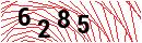 Security Verification