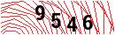 Security Verification