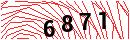 Security Verification