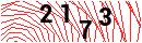Security Verification