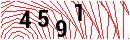 Security Verification