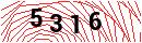 Security Verification
