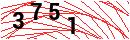 Security Verification