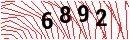 Security Verification