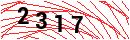 Security Verification