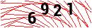 Security Verification