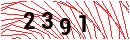 Security Verification