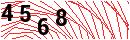Security Verification