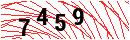 Security Verification