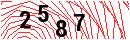 Security Verification