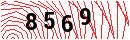 Security Verification