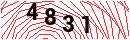 Security Verification