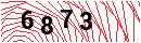 Security Verification