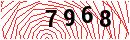 Security Verification