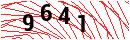 Security Verification