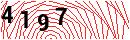 Security Verification