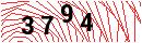 Security Verification