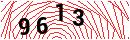 Security Verification