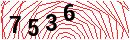 Security Verification