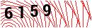Security Verification