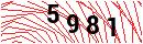 Security Verification
