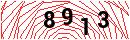 Security Verification