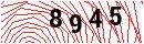 Security Verification