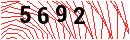 Security Verification