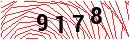 Security Verification