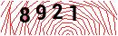 Security Verification