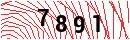 Security Verification