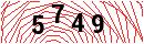 Security Verification