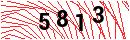 Security Verification