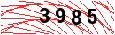 Security Verification