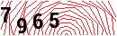 Security Verification