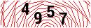 Security Verification