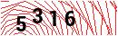 Security Verification