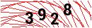 Security Verification