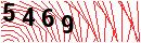 Security Verification