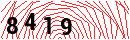 Security Verification
