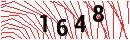 Security Verification
