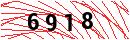 Security Verification