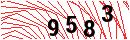 Security Verification