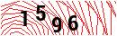 Security Verification