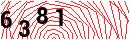 Security Verification